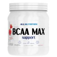 All Nutrition BCAA Max Support 500 