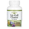 Natural Factors, Liv-Gall Cleanse, 90 капсул
