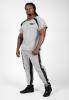 Gorilla Wear Штаны Augustine Old School Pants Gray