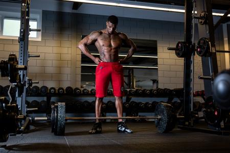 Gorilla Wear Шорты Los Angeles Sweat Shorts Gray