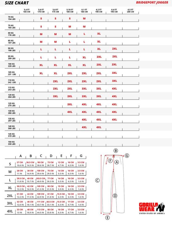 Gorilla Wear Штаны Bridgeport Jogger Silverblue