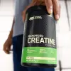 Optimum Nutrition Micronised Creatine EU 634 грамм – оригинальная продукция AthleticFuel