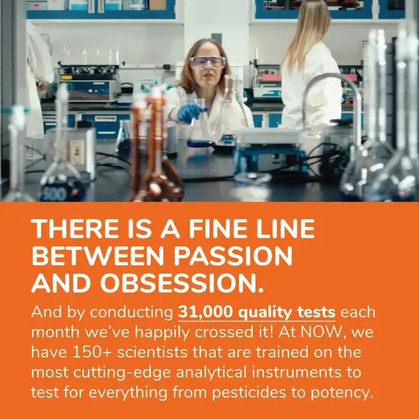 NOW Foods Витамины D3 и K2 1000 МЕ / 45 мкг 120 капсул