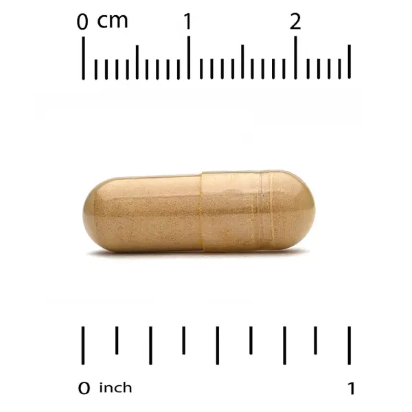 California Gold Nutrition, Ашваганда, 500 мг, 120 растительных капсул