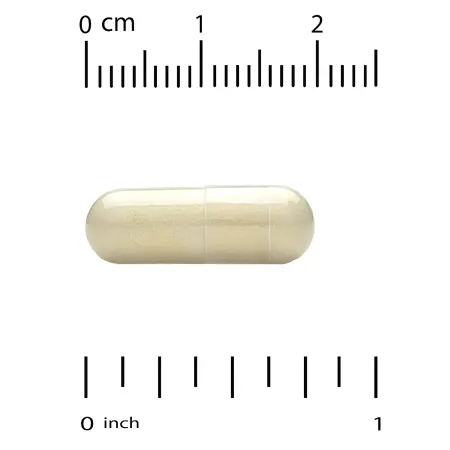 California Gold Nutrition, комплекс флавоноидов с NMN, апигенином и дигидрокверцетином, 60 раститель California Gold Nutrition, комплекс флавоноидов с NMN, апигенином и дигидрокверцетином, 60 раститель