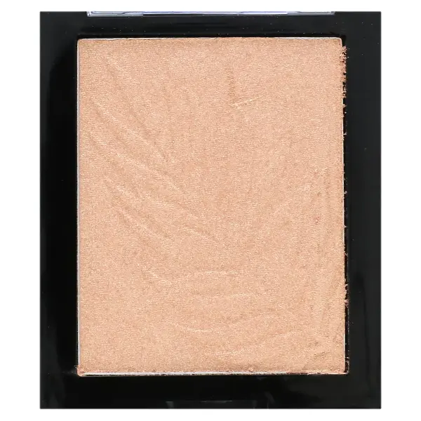 wet n wild, ColorIcon, бронзер, билет на самолет 740A в Бразилию, 11 г (0,38 унции)