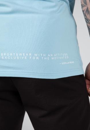 Gorilla Wear Футболка Swanton T-Shirt Blue